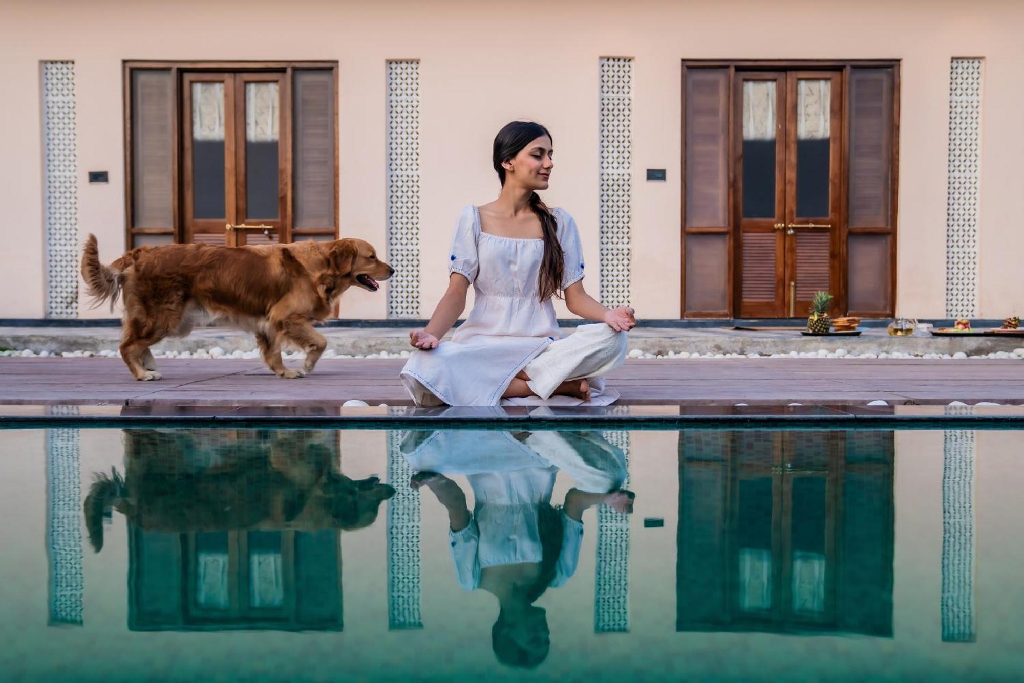 Parijat Private Pool Villa 1, 2 And 3 Bhk Udaipur Eksteriør bilde