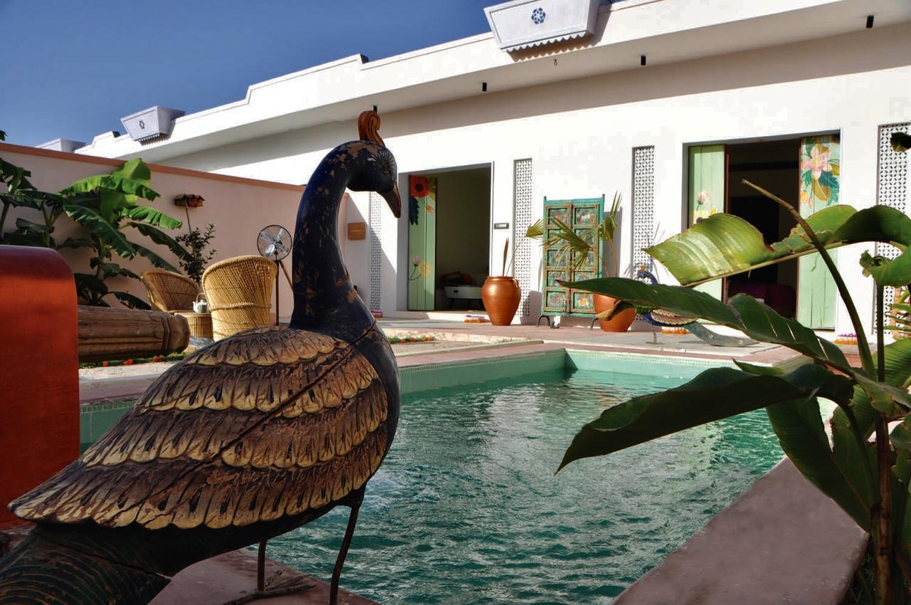 Parijat Private Pool Villa 1, 2 And 3 Bhk Udaipur Eksteriør bilde